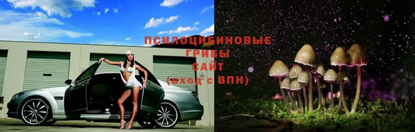 крисы Алексеевка