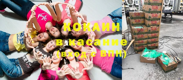 крисы Алексеевка