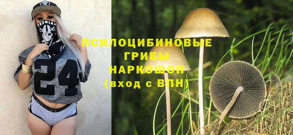 крисы Алексеевка
