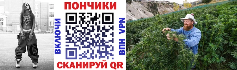 Бошки Шишки марихуана  Краснообск 
